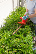 © evgenyb - Woman trimming bushes