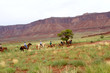 balade à cheval dans l'Utah