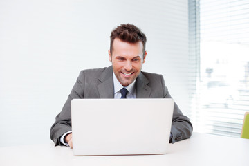 Wall Mural - Happy businessman working on laptop in the office