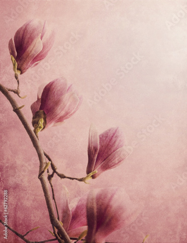 Board z aluminiowym obramowaniem Magnolia