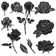 Silhouette lush rose flowers set