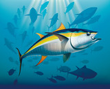 Fototapeta Do akwarium - Shoal of yellowfin tuna