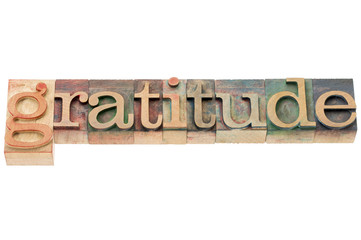 Wall Mural - gratitude word in wood type