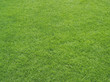 © Mint Images - Green grass surface on an athletics sports field