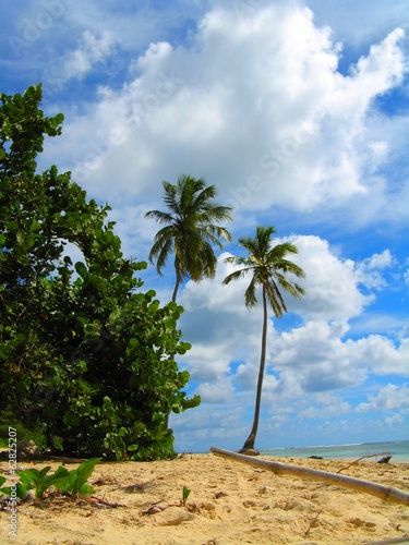 Plage De Bois Jolan Guadeloupe Buy This Stock Photo And