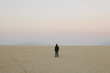 © Mint Images - Man standing in vast, desert landscape