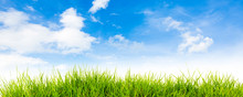 Spring Nature Background With Grass And Blue Sky In The Back  ,