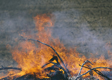 Flames And Smoke Rising From A Heap Of Wood Burning Fiercely In A Field Near Pullman, Washington, USA