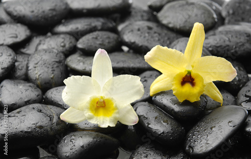 Naklejka na szybę black stones and pink orchid