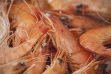 A Dish Of Freshly Cooked Prawns With Shells, Heads And Tails On. Seafood.