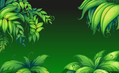 Wall Mural - Green leafy plants