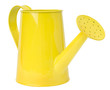 yellow watering can isolated on a white background