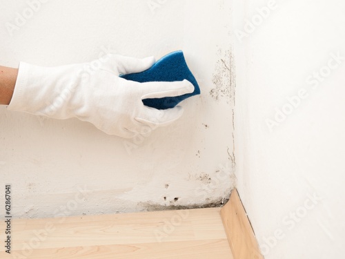 Schimmel an der Wand entfernen - kaufen Sie dieses Foto ...