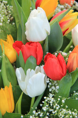 Tulips bouquet