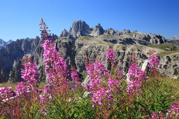 Canvas Print - tre cime di lavaredo dolomiti trentino alto adige