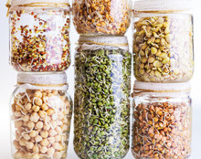 Stack Of Different Sprouting Seeds Growing In A Glass Jar