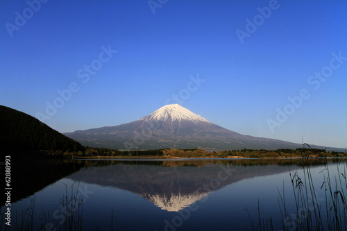 Tapeta ścienna Góra Fuji z jeziora Tanuki