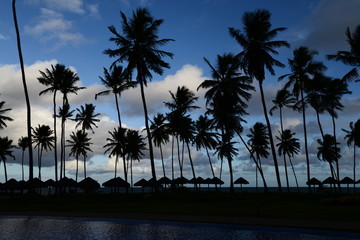 Wall Mural - PRAIA DO FORTE