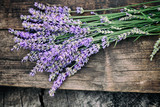 Fototapeta Lawenda - Fresh lavender