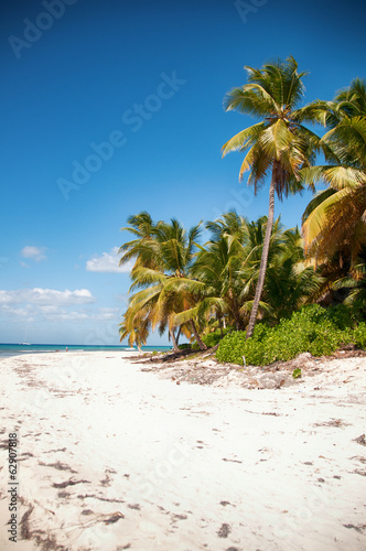 Board z aluminiowym obramowaniem Piękna biała plaża z tropikalnymi palmami, saona, karaiby