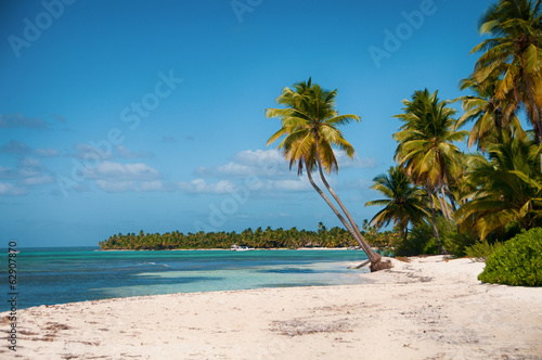 Board z aluminiowym obramowaniem Piękna biała plaża z tropikalnymi palmami, saona, karaiby