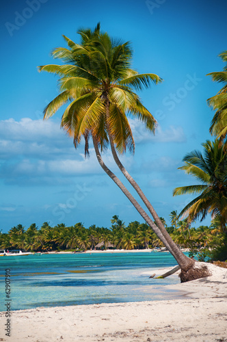 Board z aluminiowym obramowaniem Piękna biała plaża z tropikalnymi palmami, saona, karaiby