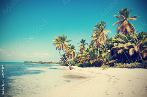 Board z aluminiowym obramowaniem Piękna biała plaża z tropikalnymi palmami, saona, karaiby