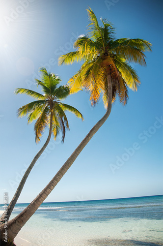 Board z aluminiowym obramowaniem Piękna biała plaża z tropikalnymi palmami, saona, karaiby