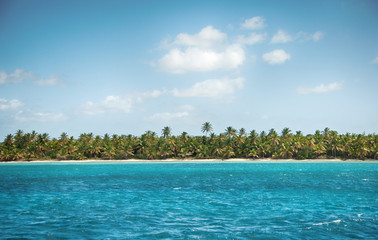 Wall Mural - Wonderful palm coastline of Saona Island, Caribbean