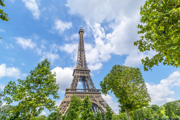 Canvas Print - Tower Eiffel view from the garden