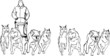 team of sled dogs, black - white version