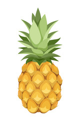 Sticker - Pineapple. Vector illustration.