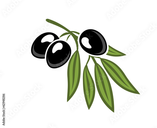 Naklejka dekoracyjna Black olives on a leafy twig