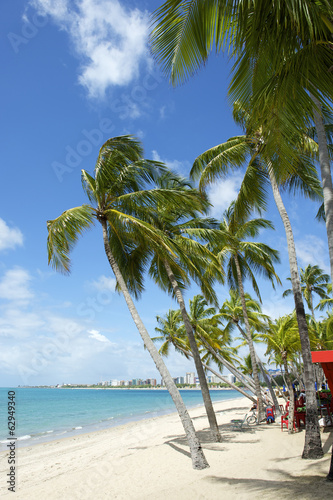 Board z aluminiowym obramowaniem Brazylijski plaży palmy maceio nordeste brazylia