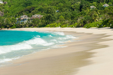 Wall Mural - tropical beach