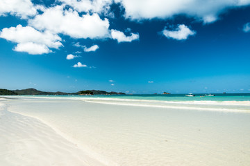 Wall Mural - white sand beach