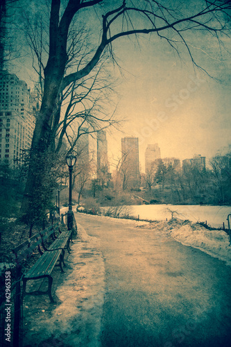 Fotoboard na płycie Vintage stonowanych widok z centralnego parku, nyc na zimowy dzień