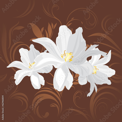 Plakat na zamówienie White flowers on the brown ornamental background