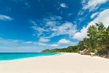 Wall Mural - tropical beach