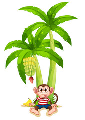 Poster - A monkey under the banana plant