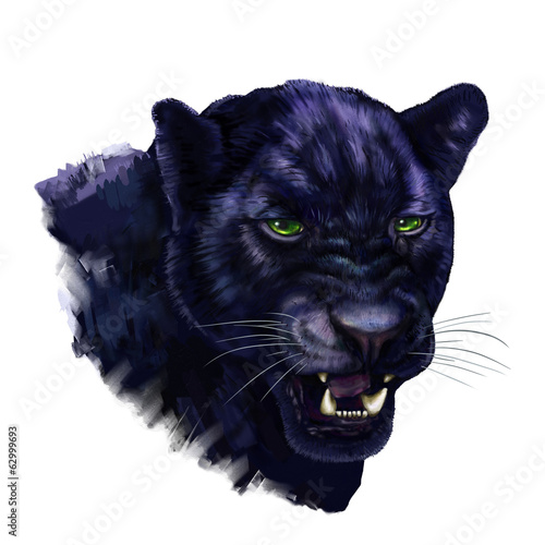 Valokuva  black panther head