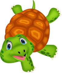 Cute turtle cartoon standing with hand