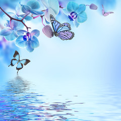 Fototapete - Floral background of tropical orchids and  butterfly