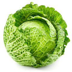 cabbage isolated