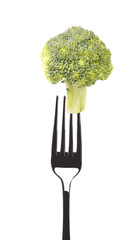 Wall Mural - Fresh broccoli on a fork