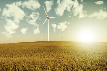 Windmills to generate wind power