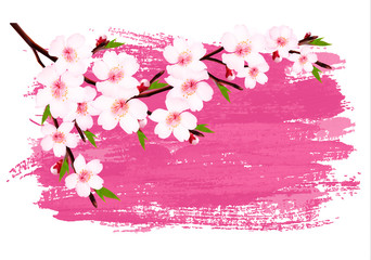 Wall Mural - Pink paint sakura branch banner. Vector.