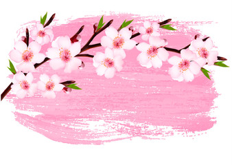 Fototapete - Pink paint sakura branch banner. Vector.