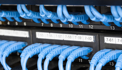 lan cable connected to switch