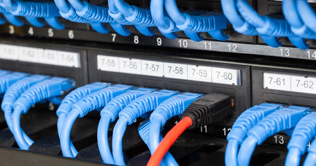 lan cable connected to switch